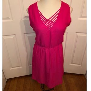 Women’s Plus Size Pink Skater Dress